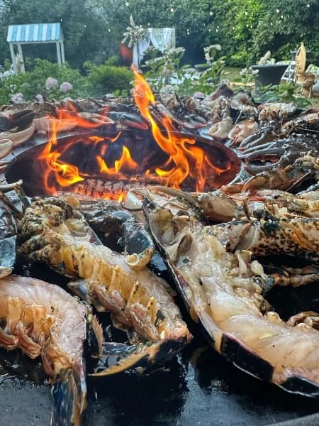 Grillades de fruits de mer sur le braséro, flammes vives
